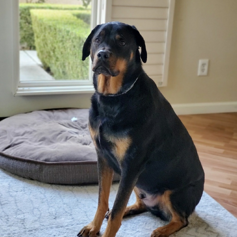 Meet your Posher, Fran